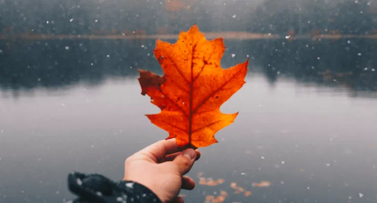 Winter Is Coming: 6 Ways To Prepare Your Body For The Winter Of Your Life